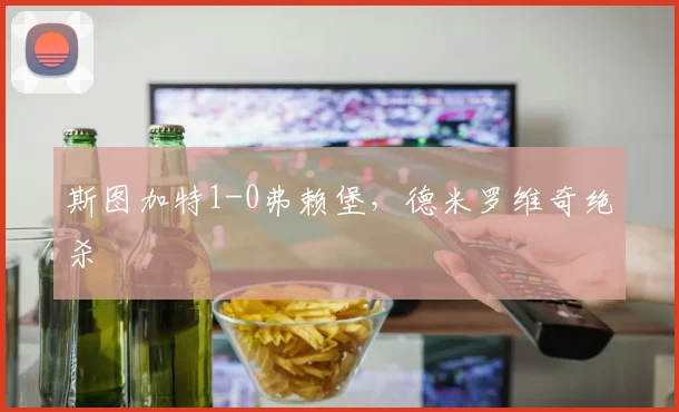 斯图加特1-0弗赖堡,德米罗维奇绝杀
